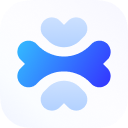 ApiDog CORS Proxy connector icon