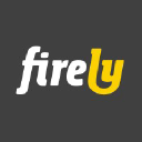 Firely Server connector icon