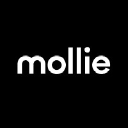 Mollie connector icon