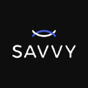 SAVVY Security connector icon