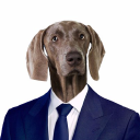 Dog API connector icon