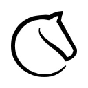Lichess connector icon
