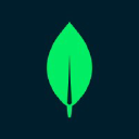 MongoDB connector icon