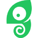 Chameleon connector icon